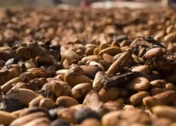 O volume de amêndoas recebidas pela indústria somou 58.188 toneladas, recuo de 0,3% em relação ao mesmo período do ano passado — Foto: Pixabay