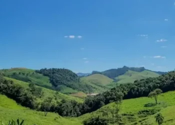 Uma das críticas é relação à dispensa de licenciamento para atividades agropecuárias — Foto: Epamig / Divulgação