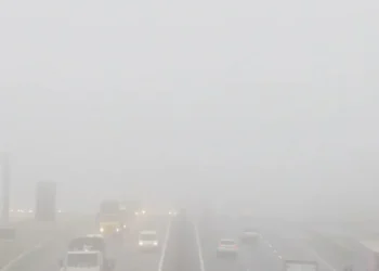 Fenômeno deve ocorrer com maior intensidade até sexta-feira (11) • Reprodução