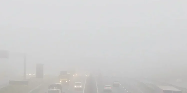 Nevoeiro denso deve afetar várias cidades de São Paulo; veja lista
