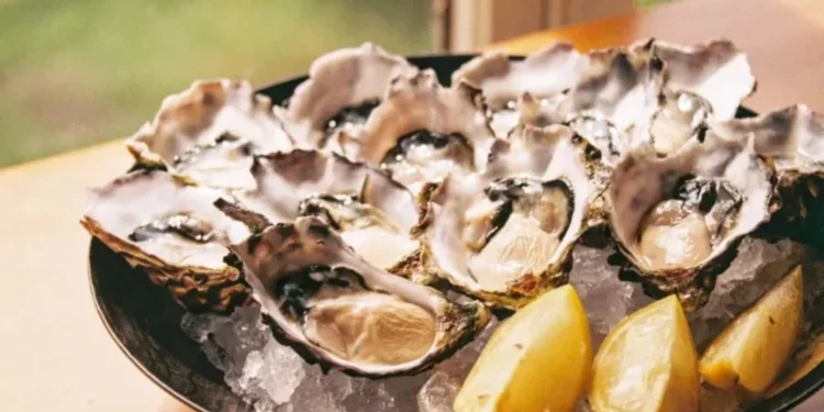Ostras vendidas em SP e SC têm bactérias e metais tóxicos, diz estudo