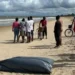 Turistas de SP morrem afogados em praia turística da Bahia