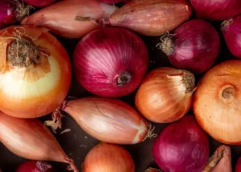 Quercetina está presente na cebola, pimentão, aspargo, brócolis e frutas como maça, uva e manga • Freepik