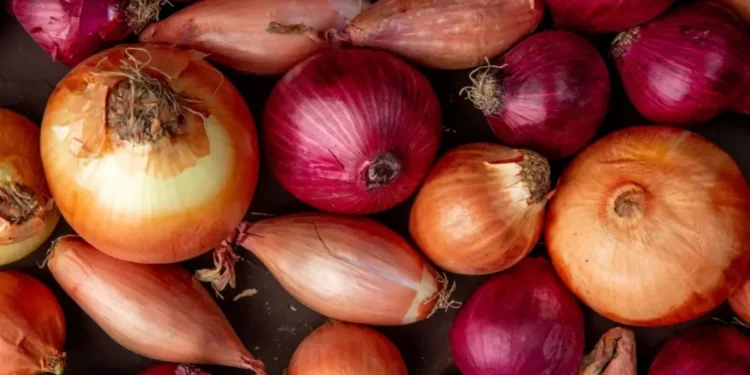 Saiba qual substância presente na cebola pode ajudar na saúde do coração