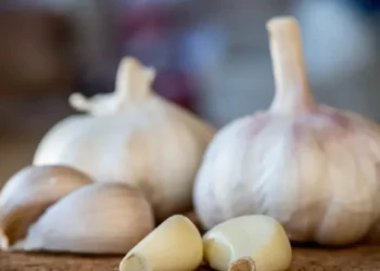 Alho possui diversas propriedades anti-inflamatórias e antioxidantes • wirestock/Freepik