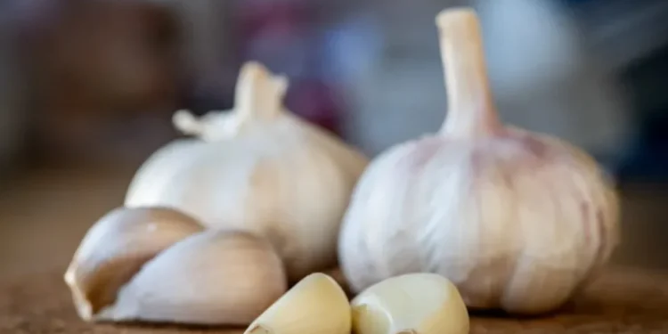 Chá de alho é aliado do coração e imunidade: aprenda a preparar