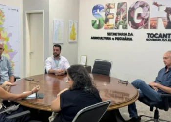 Objetivo da reunião foi aprimorar o mapeamento das regiões produtivas do estado. (Foto: João Henrique Lima/Governo do Tocantins).