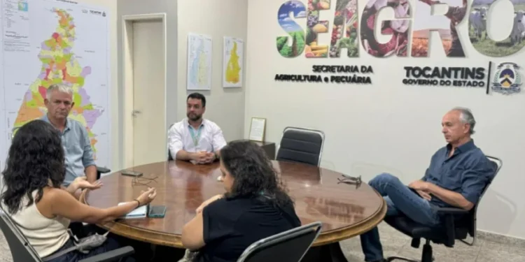 Expansão energética é tema de debate para atender avanço da produção agrícola no Tocantins