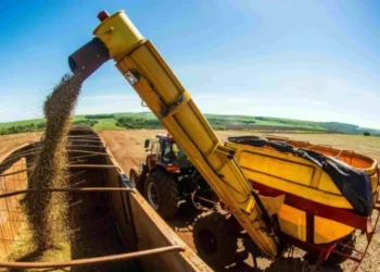 (Foto: Embrapa Soja).