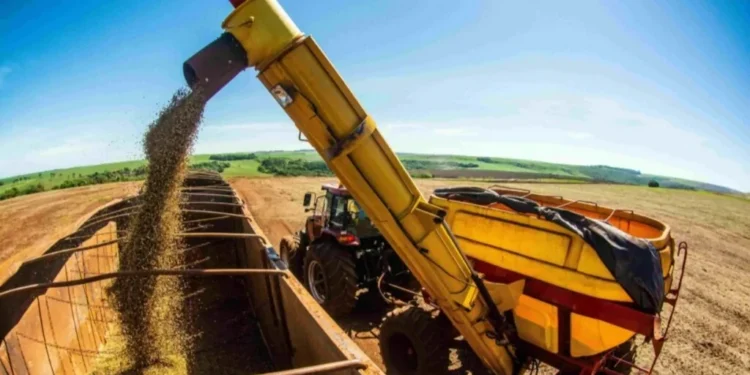 Congresso Brasileiro de Soja promove debates sobre produção, pesquisa e mercado de soja