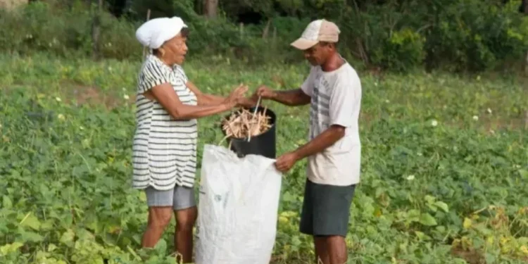 Norte e Centro-Oeste receberão R$ 1 bilhão em crédito rural, anuncia governo