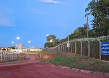 (Foto: Portal O Joio e o Trigo).