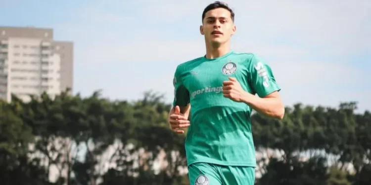 Palmeiras se reapresenta com reforço e quatro desfalques por problemas físicos