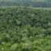 Governo do Tocantins registra redução de 20,7% no desmatamento do primeiro semestre em 2025 e do total somente 21% ocorreram em área não autorizada