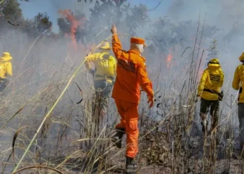Governo do Tocantins publica novo boletim da média semanal dos índices do clima e da previsão de risco de fogo e avança com medidas de combate às queimadas