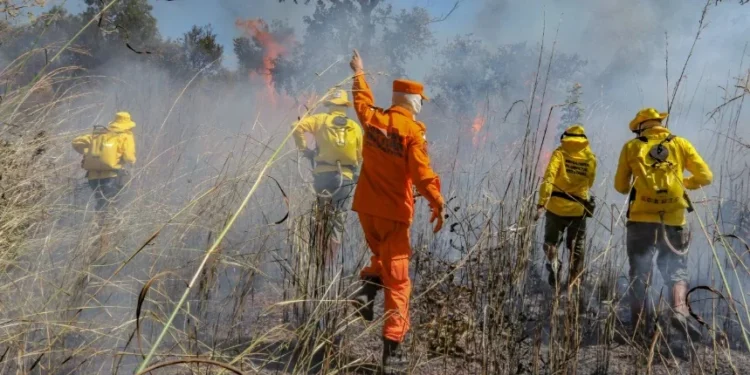 Governo do Tocantins publica novo boletim da média semanal dos índices do clima e da previsão de risco de fogo e avança com medidas de combate às queimadas