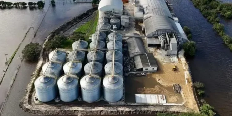 Governo autoriza equalização para capital de giro a cooperativas gaúchas