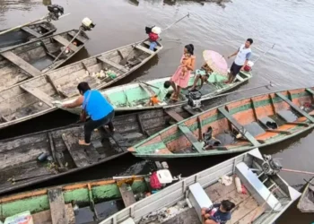 Mais de 40 municípios estão em estado de emergência no Amazonas — Foto: Defesa Civil do Amazonas / Divulgação