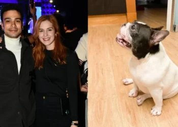 Sophia Abrahão e Sérgio Malheiros se despediram de uma de suas cachorras • Instagram/Sophia Abrahão