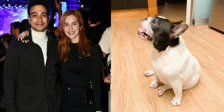 Sophia Abrahão e Sérgio Malheiros lamentam morte de cachorra: “Resiliente”