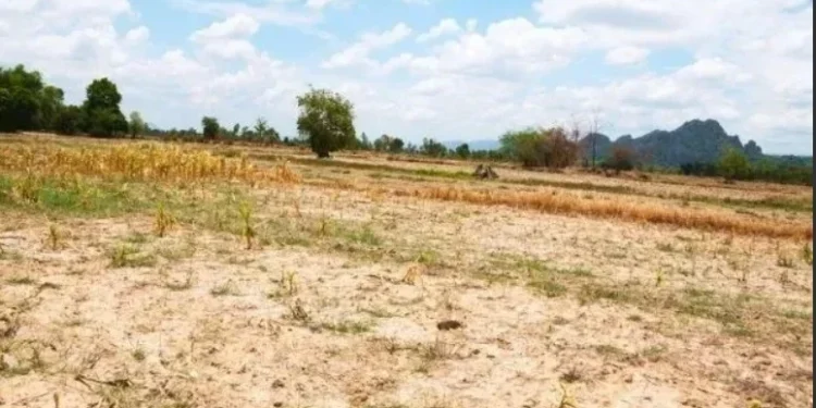 Defesa Civil emite alerta para risco de incêndios em SP