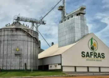 Grupo Safras possui dívidas de R$ 2,2 bilhões — Foto: Divulgação