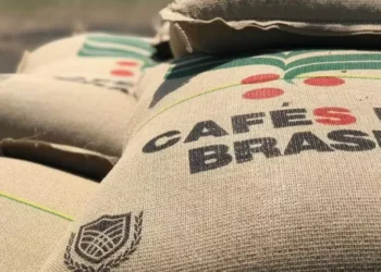 Os EUA são os maiores compradores mundiais de café, com cerca de 24 milhões de sacas consumidas ao ano, e o seu maior parceiro no fornecimento é o Brasil — Foto: Gustavo Facanalli/Embrapa