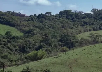 Bancara ruralista classificou a aprovação como um marco histórico para o setor agropecuário — Foto: Wenderson Araujo/CNA