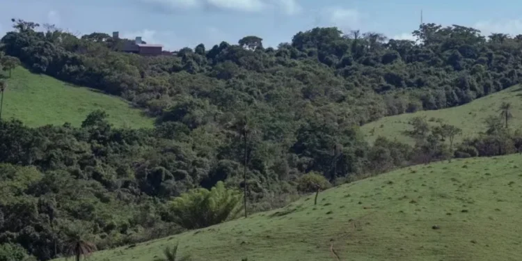 Setor agropecuário vê avanços e custos menores com novo licenciamento ambiental