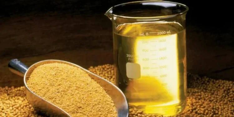 Estimativas de processamento e exportação de soja em 2025 sobem, diz Abiove