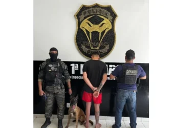 Cão farejador da Polícia Penal auxiliou nas buscas - Foto: DICOM SSP TO