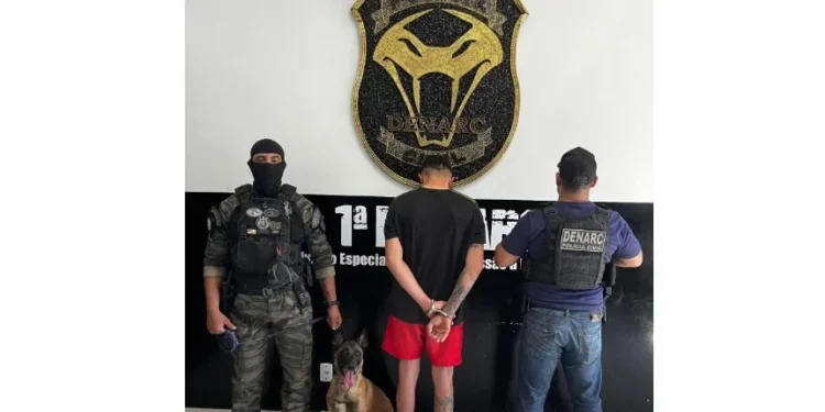 Em Palmas, Polícia Civil prende homem suspeito de praticar tráfico de drogas e desarticula ponto de venda de entorpecentes