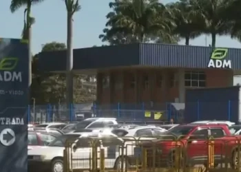 A unidade da ADM em Três Corações (MG) opera desde 2008 e é responsável pela produção de rações para animais de estimação, gado, aves e peixes — Foto: Reprodução EPTV