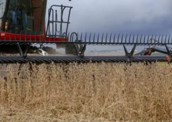 Preço da soja sobe no Brasil, apesar da pressão da oferta global