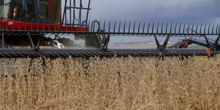 Preço da soja sobe no Brasil, apesar da pressão da oferta global