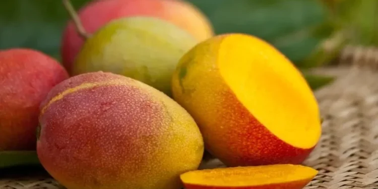 Após tarifaço, exportadores de frutas já dão como certa queda de preços