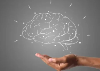 Táticas baseadas na neurociência ajudam a manter a calma na hora de estudar • Freepik