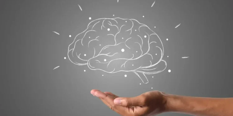 Dia Mundial do Cérebro: 5 sugestões para estimulá-lo para os estudos