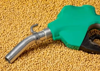 Brasil tem hoje condições de esmagar mais de 100 milhões de toneladas de soja e produzir óleo suficiente para atender à mistura de 20% de biodiesel no diesel — Foto: Getty Images