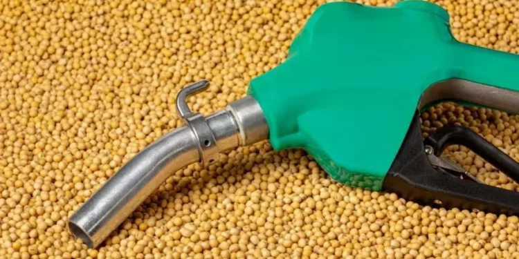 Indústria de soja tem condição de atender maior demanda de biodiesel