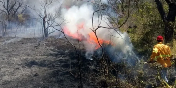 50 dias sem chuva: noroeste de SP pode entrar em emergência para queimadas