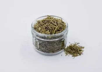 A erva pode ser usada em pratos ou infusões, desde que com moderação. • Pixabay