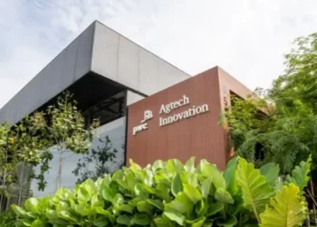 PwC Agtech Innovation conecta mais de 800 startups, empresas e especialistas do setor — Foto: PwC Agtech Innovation