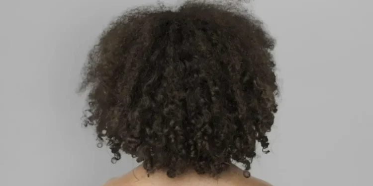 Cabelos curvados naturalmente são mais ressecados  • Freepik