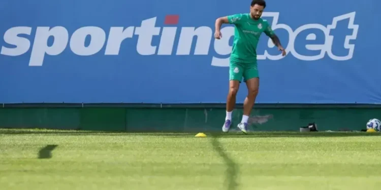 Felipe Anderson segue em recuperação  • Cesar Grecco / Palmeiras