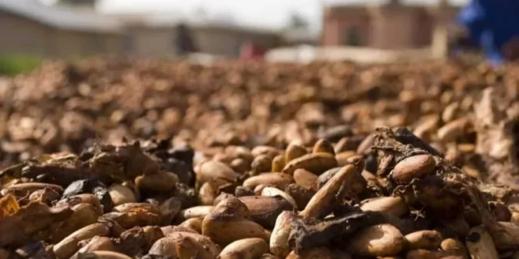 EUA podem isentar café, cacau e recursos naturais de tarifas, diz secretário de Trump