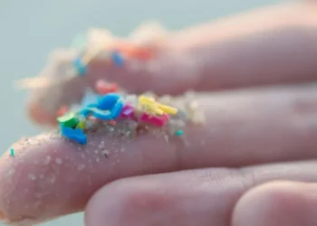 Microplásticos são partículas pequenas de plásticos que contaminam água e solo e podem ser ingeridos por pessoas e animais, trazendo riscos à saúde • Alistair Berg/GettyImages