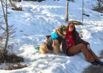 Labibi Amaral Mello morreu durante viagem à Argentina com mãe e cães.  • Reprodução: @domgretriever