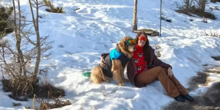 Quem é a brasileira que morreu em acidente de carro em nevasca na Argentina