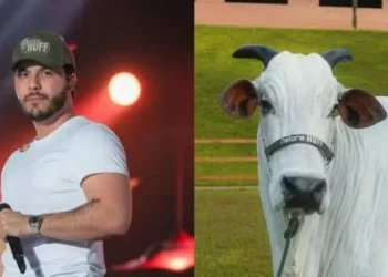 Cantor arremata Íris 8 FIV da Valônia, vaca avaliada em mais de R$ 17 milhões — Foto: Divulgação/Nelore Huff